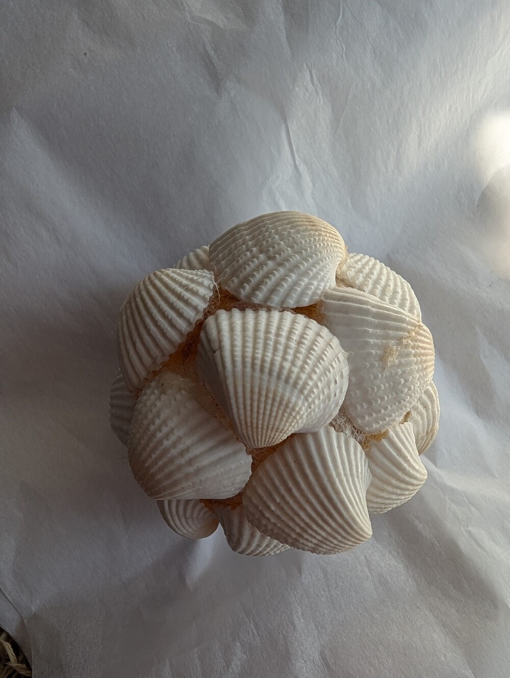 Decorative Seashell Ball - Picture 3 of 3